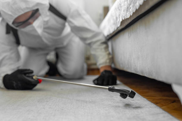 Professional Termite Control technician working in Augusta, KS