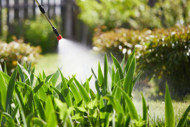 24/7 Emergency Termite Control experts in Augusta, KS